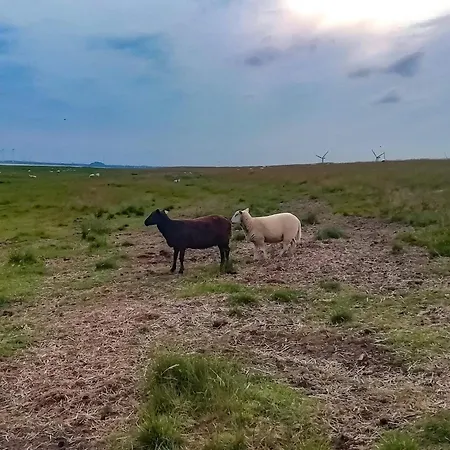 4 Person In Bramming-by Traum Дом отдыха Bramming