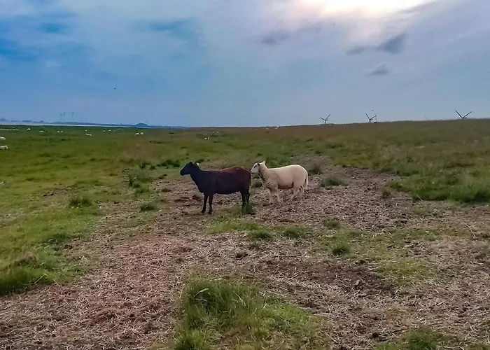 4 Person In Bramming-by Traum Дом отдыха Bramming